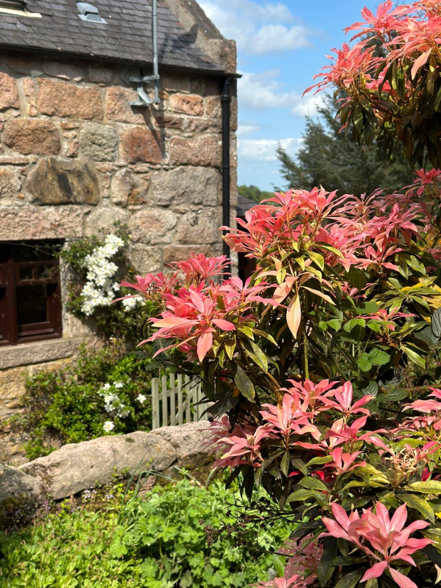 Bed and Breakfast Awakening Alchemy Retreat Centre Inverurie Esterno foto