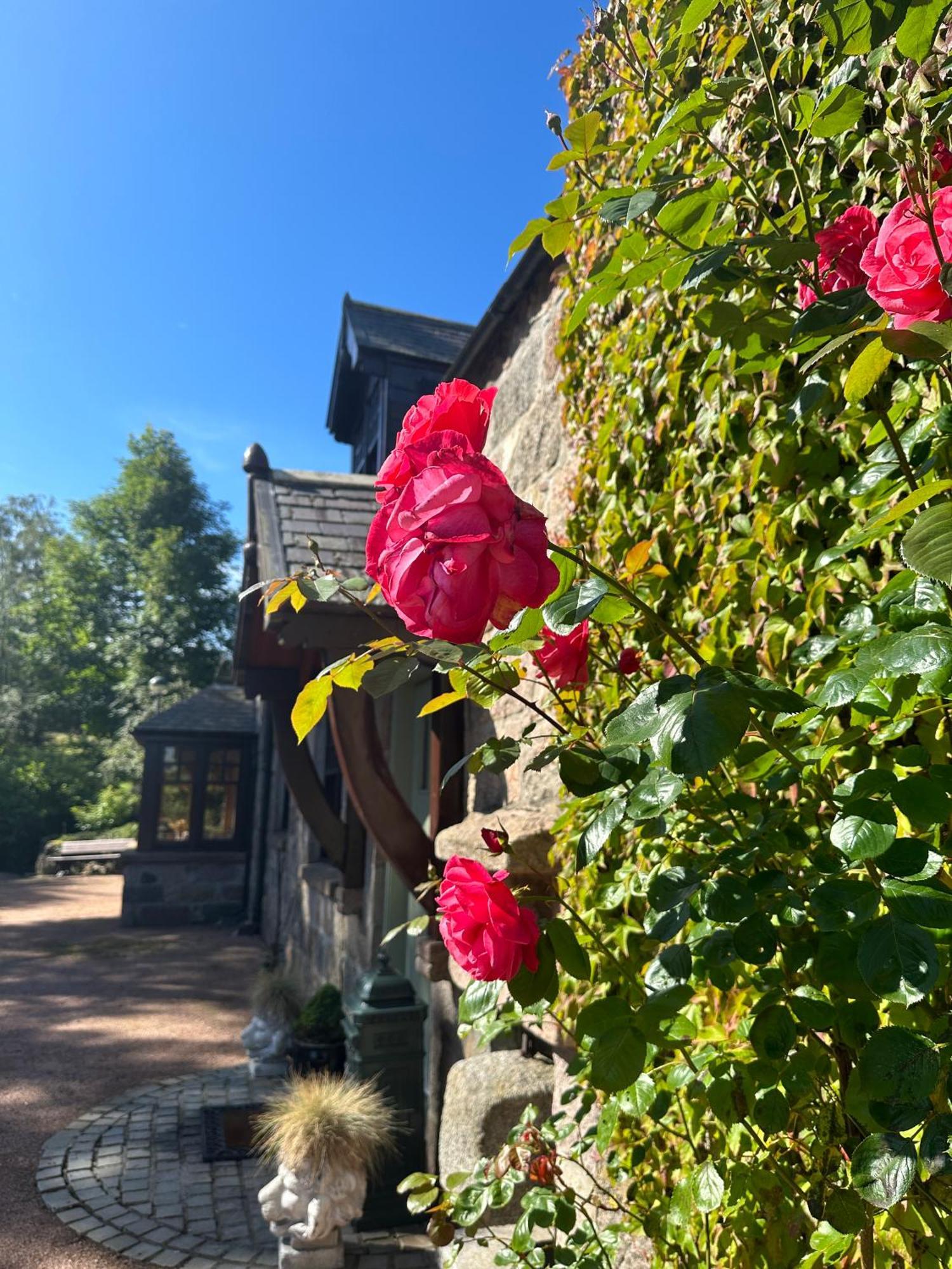 Bed and Breakfast Awakening Alchemy Retreat Centre Inverurie Esterno foto