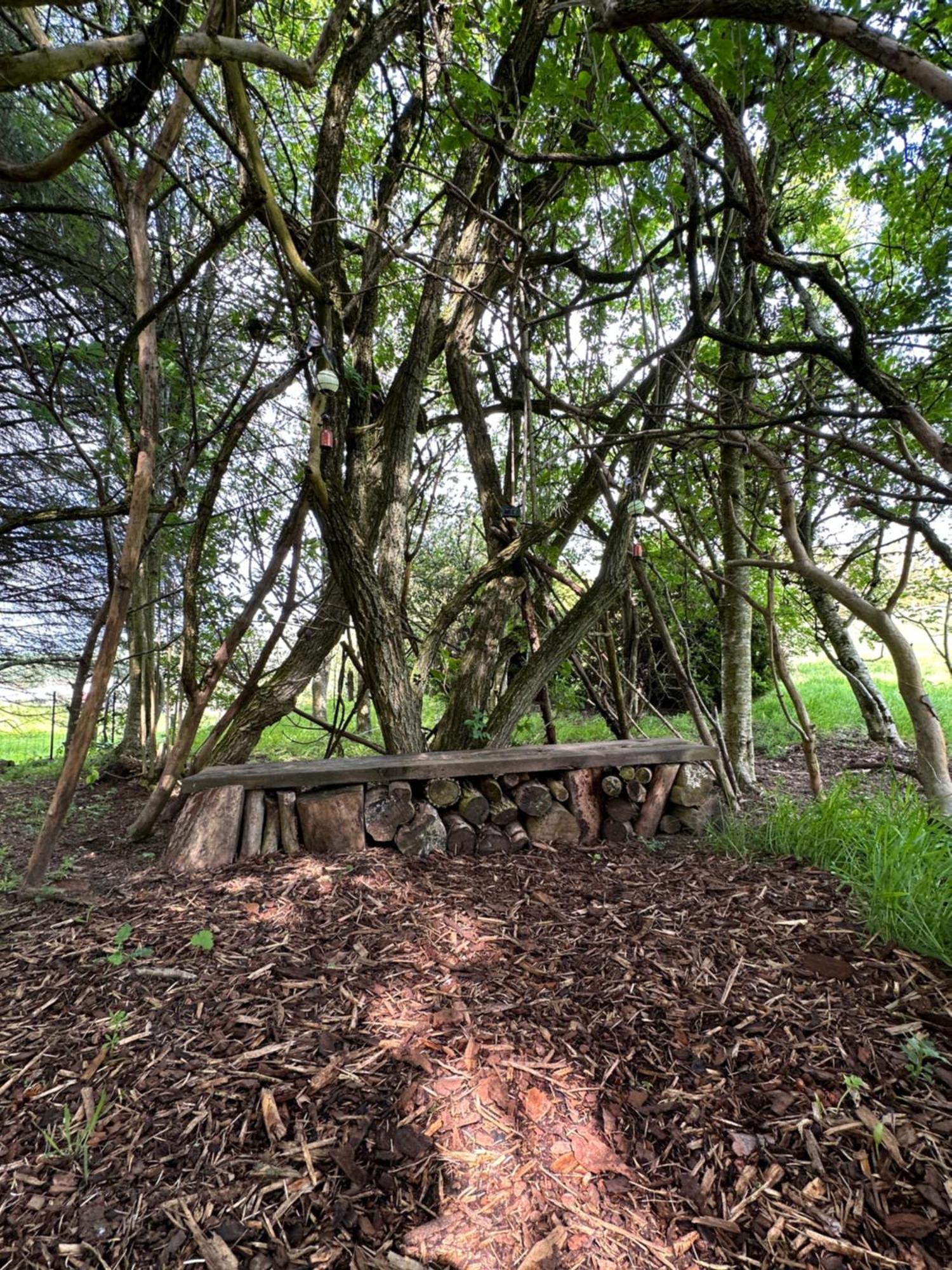 Bed and Breakfast Awakening Alchemy Retreat Centre Inverurie Esterno foto