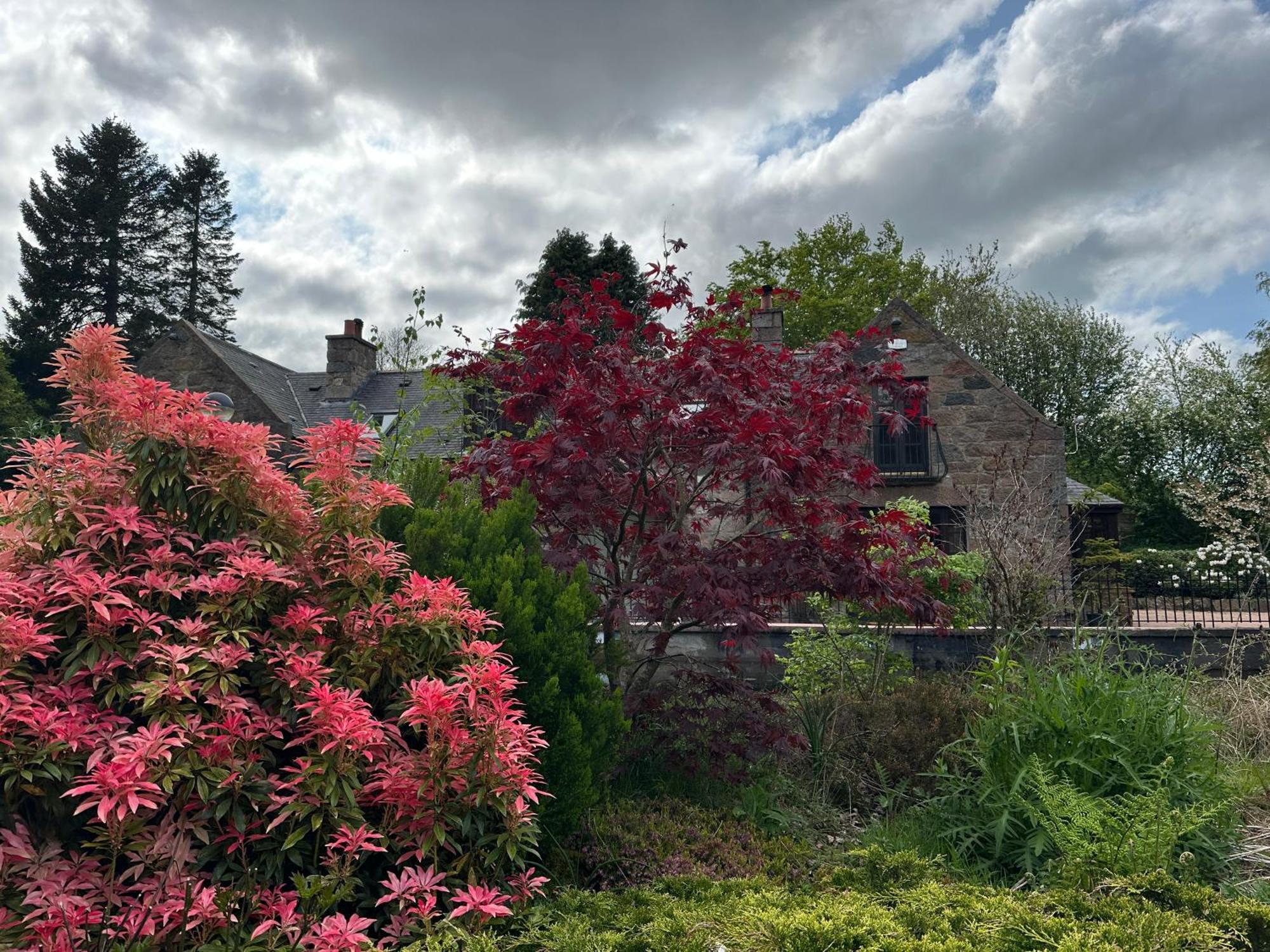 Bed and Breakfast Awakening Alchemy Retreat Centre Inverurie Esterno foto