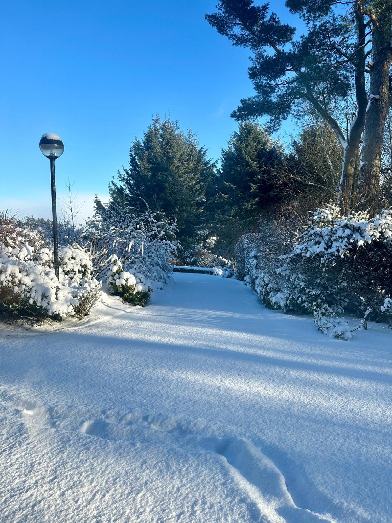 Bed and Breakfast Awakening Alchemy Retreat Centre Inverurie Esterno foto